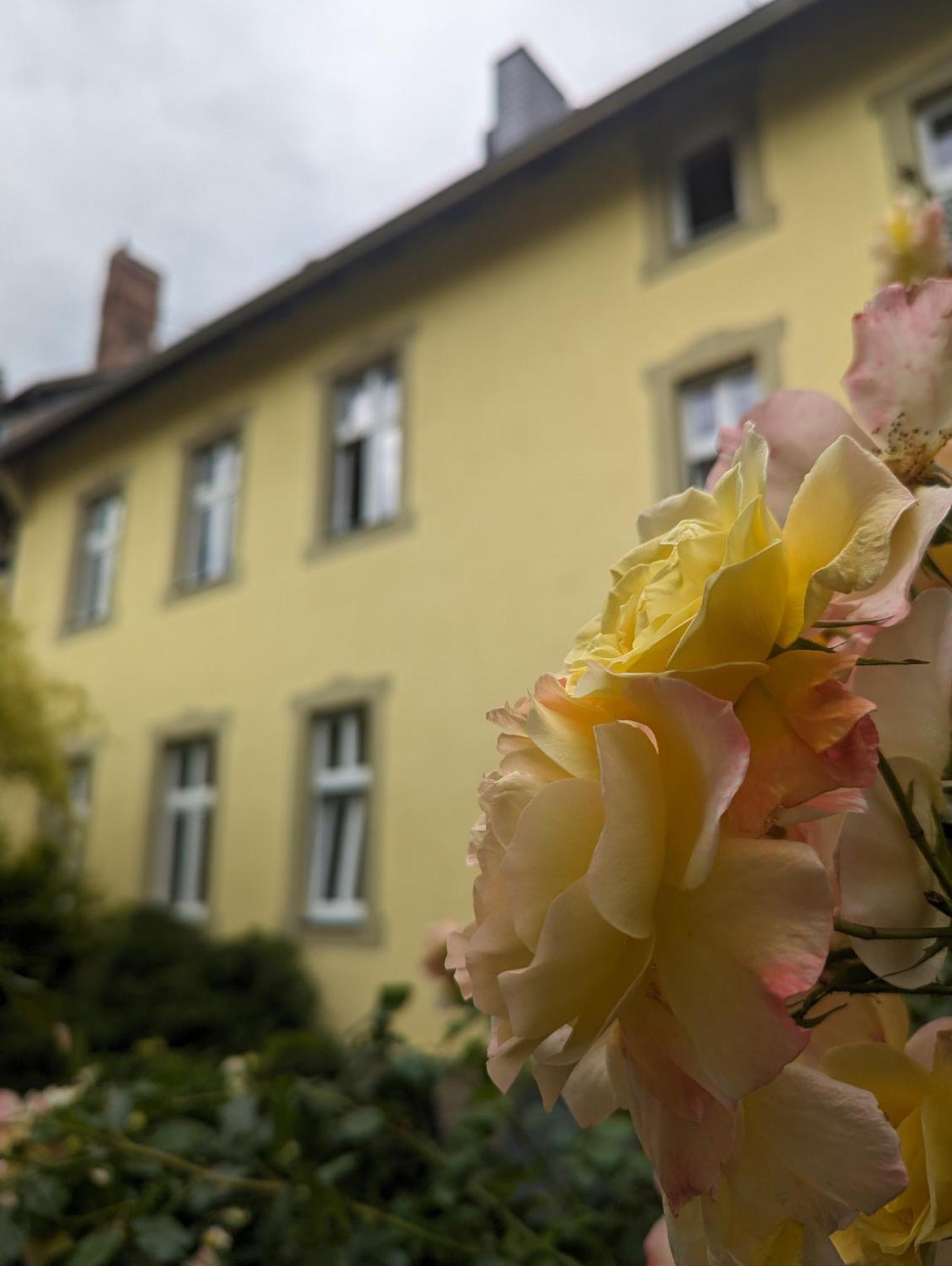 Atelier Wolkenschloss 베르니게로데 외부 사진